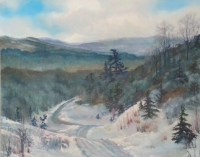 Wintry Tapestry: The Road Less Travelled
