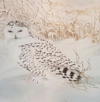 Snowy