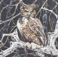 Great Horned Owl