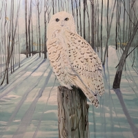 Snowy Visitor